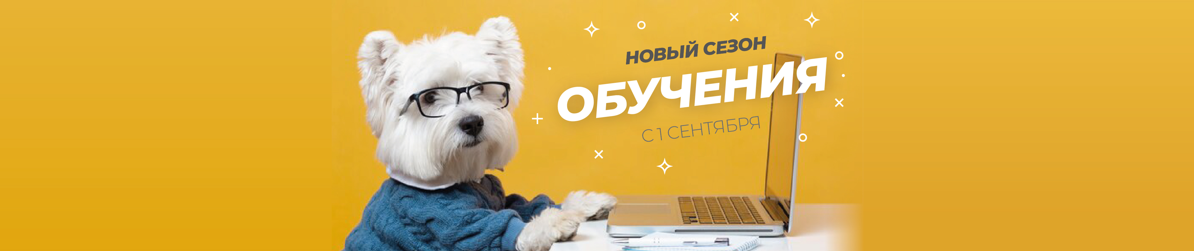 Прокачиваем навыки вашей команды с 1 сентября
